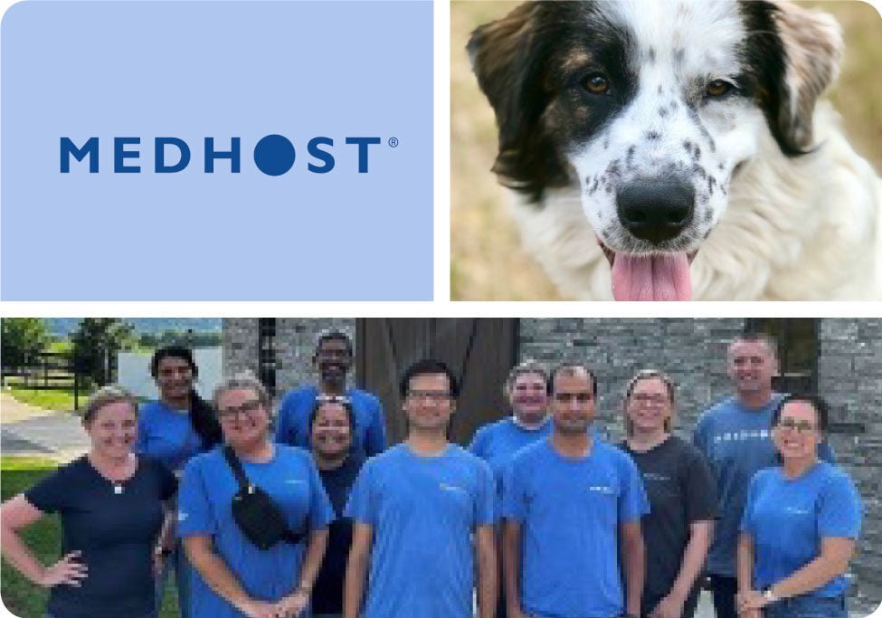 Photo collage of MEDHOST employees volunteering at Williamson County Animal Center.