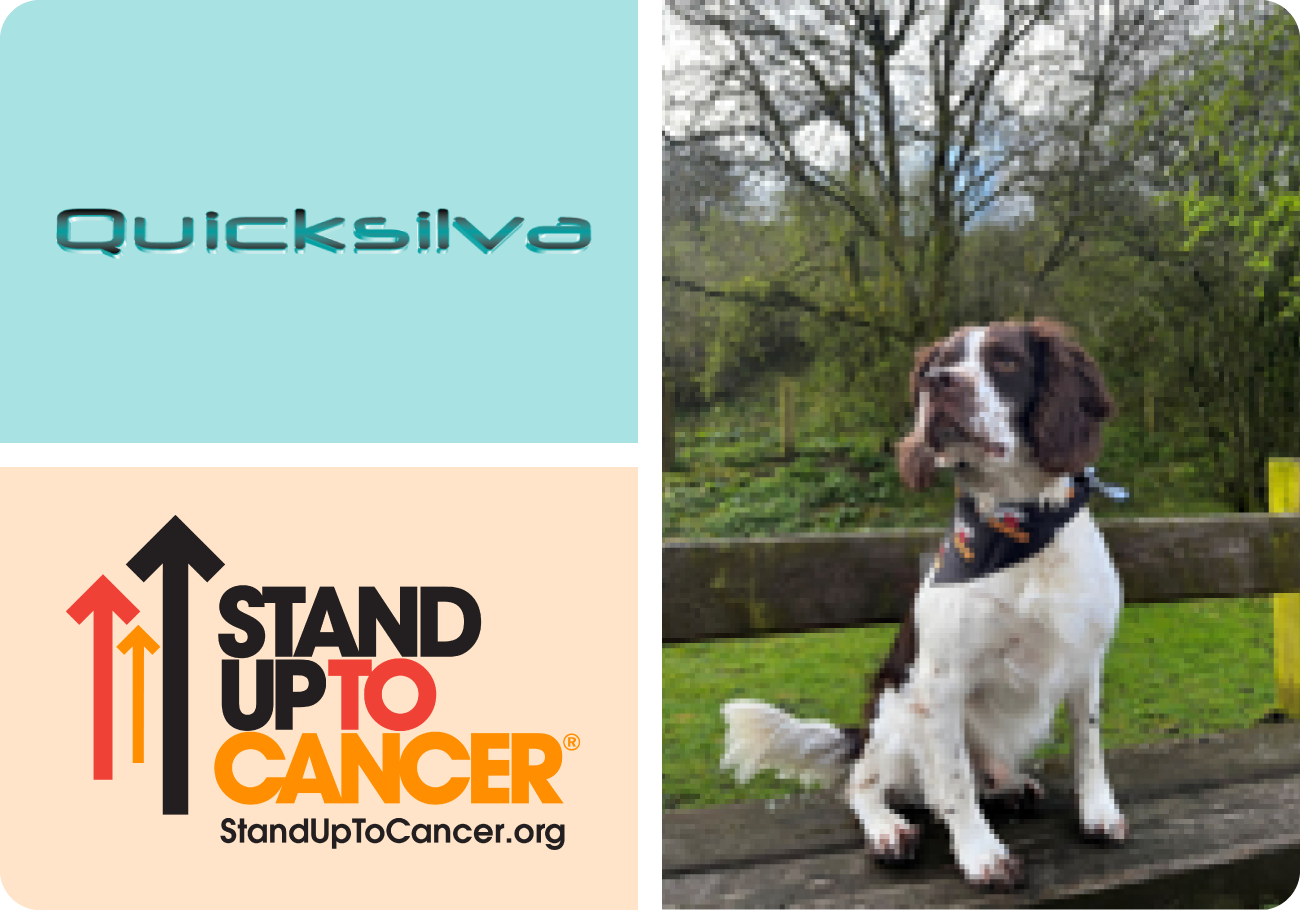 Quicksilva raises funds for Stand Up To Cancer